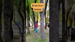 #kashmir #betaabvalley #travelvlog #kashmirvlogs