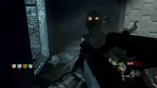 Black Ops - Zombies - AUG-50M3