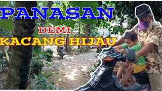 Vlog Maliihah Anak Petani Pintar | Vlog Aktifitas Kegiatan Anak Usia Dini