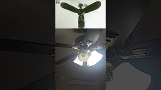 Ceiling fans falls down