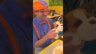 Blippi acts like a dog in the playground #Blippishorts #shorts #kidscartoons