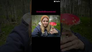 Amanita Muscaria Heals