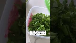 How do you prep & store lettuce?