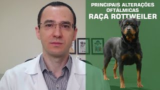 Conheça as principais alterações oftálmicas do rottweiler.