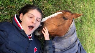 When you have a sensitive big boy beside - Cute Horse and Human