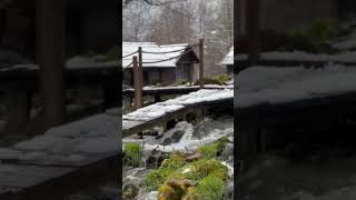 Bosnia @mocktalesfamilyvlogs #viral #shorts #river #flow #relaxing ##snow