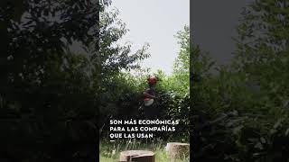 Pasarse a las máquinas de batería STIHL: mas económicas.