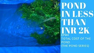 Total Cost Of The Pond | EP4 | The Pond Series