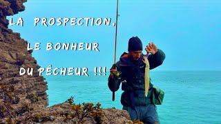 La prospection, le bonheur du pêcheur : Je retourne pêcher sur ce spot un an après 🦑