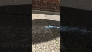 Skateboard running over a Chalk