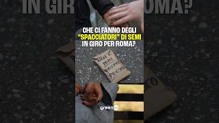 Che ci fanno degli “spacciatori” di semi in giro per Roma?