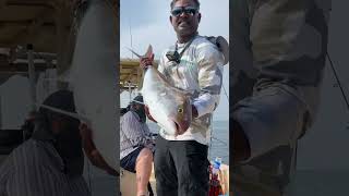 AmberJack on slow pitch jigging #fishing #jigging