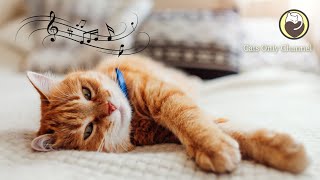 Music to Calm Cats - Soothing Sleep Music, Relaxation Music, Stress Relief