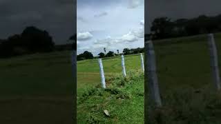 Open Plot Registry Venture 500sq yard 3side Road Facing For Sale Kothur Village JP Darga📲 8555921369