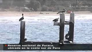 Peru se convierte en una gran alternativa turistica ( tv colombia )