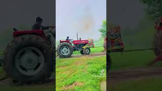 #viralvideo #farmingview #views #myfarminglifeandme