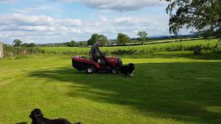 Grass cutting with help!