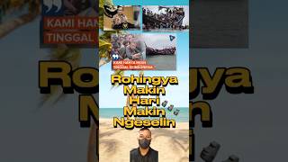 Rohingya Ngeselin? Gimana Pendapatmu #faktaunik #shorts #rohingya