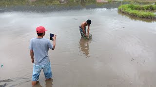 Mancing Harian Ikan Mas (Sumarorong) #mancing #fishing #breakingnews #mancingmania #breakingnews