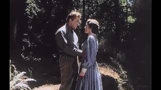 The Big Trees - 1952 || Eve Miller Kiss || Kirk Douglas || Eve Miller Young #shots #reels #kiss