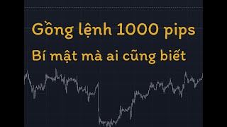 Phần 9. Cách để gồng nghìn pips mỗi lệnh