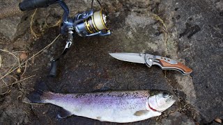 Rainbow Trout Catch and Cook