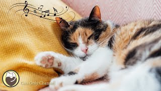 Cat Sleep Music - Peaceful Piano Music to Relax and Calm Cats