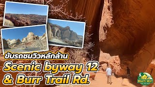 Whats' Next | ขับรถชมวิวหลักล้าน Scenic byway 12 & Burr Trail Rd.