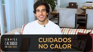 CUIDADOS NO CALOR | BOM PRA CACHORRO