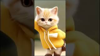 ✨😻cute cat#music #song #shortsvideo #cat #trending #funny