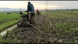 BAJAK SAWAH#bajak #bajaksawah #bajaksawahtradisional