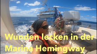 Wunden lecken in der Marina Hemingway