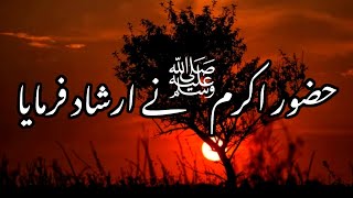 Rasool Allah ﷺ Ne Irshad Farmaya Hai | Biwe Par Ekh Dinar  Kharch Karne Sy Kya Hota Hai | Hadeespak