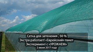 Сетка для затенения, 50 %. Экстра работает! "Еврейский" пакет. Эксперимент с "УРОЖАЕМ"