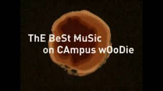 2007 mtvU Woodie Awards – Categories