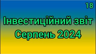 Інвестиційний звіт №18 Серпень 2024 Просадка на ринках!