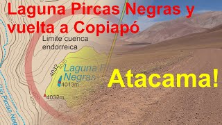 Pircas Negras (Atacama), el regreso: Qué pasó con la laguna? - un análisis