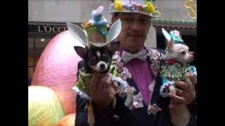 Anthony Rubio with Chihuahuas Bogie & Kimba at 2013 Easter Parade