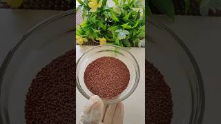 Benifits of Halim Seeds#shortsviral #trendingshort #food #recipe #halimseeds