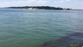 View of Brownsea Island From Shell Bay, Dorset #brownsea #shellbay #dorset