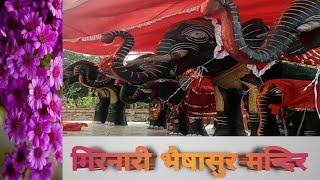 गिरनारी भैषासुर मन्दिर || girnari bhaisasur mandir || bhaisasur || india || durgamaa ka mandir ||new