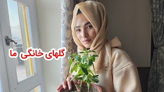 امروز با استفاده از فرصت گلشانی کردیم  ❤️❤️