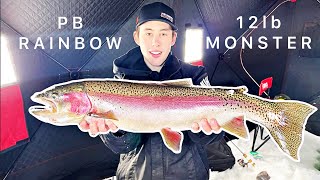 MASSIVE RAINBOW TROUT THROUGH THE ICE