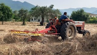 FIATAGRI 65-66S - PÖTTINGER TOP 342 | RANGHINATURA MISCUGLIO 1° TAGLIO