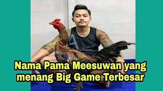 Nama ayam Mesuwan yang kalahkan pakoi