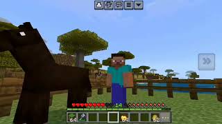 Minecraft Horse Logic that Makes no Sense! minecraft moments..