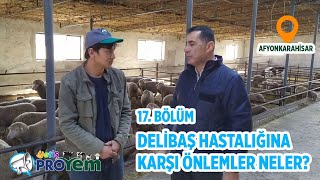 Delibaş Hastalığına Karşı Önlemler Nelerdir? - Yetiş Proyem 17. Bölüm