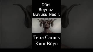 Tetra Carnus Büyüsü Nedir #büyüler