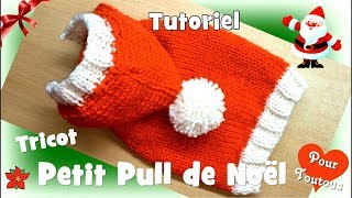 Tutoriel Tricot: Petit Pull de Noël pour petits chiens