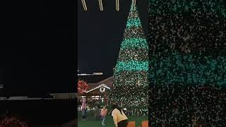 #Navidad en #WoodLands Texas